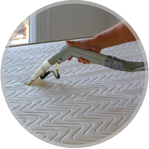 Mattress Cleaning Service Icon